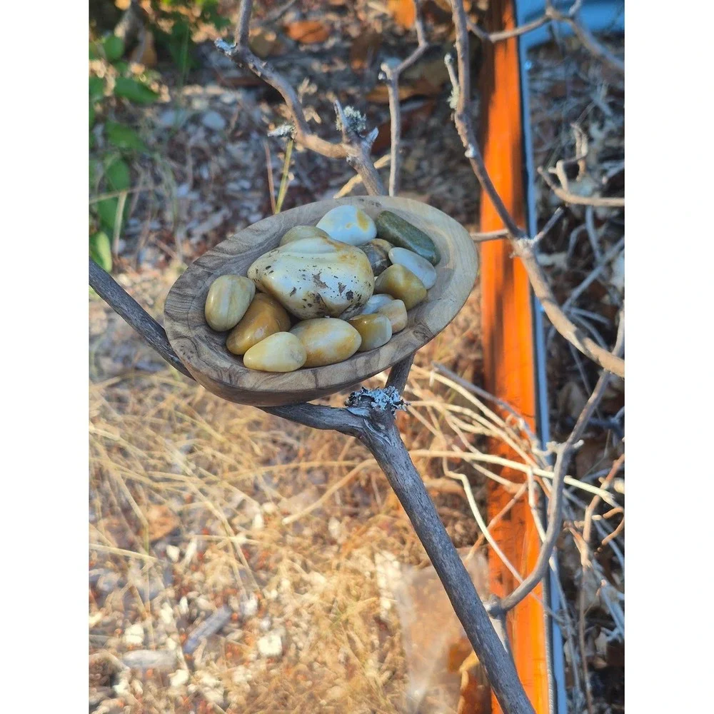 Handcrafted Rustic Olive Wood Oval Bowl w/ PNW Carnelian Agates & Yellow Jasper